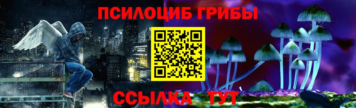 Псилоцибиновые грибы прущие грибы  Вход с VPN  Бахчисарай 