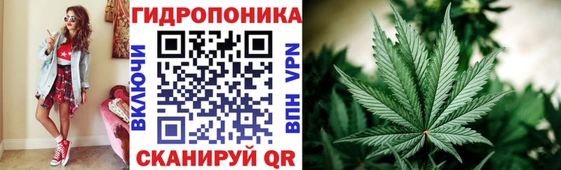 Канабис SATIVA & INDICA Бахчисарай